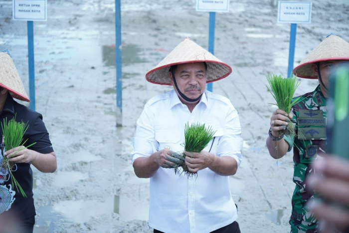 Bupati TRK Ikuti Gerakan Tanam Padi Serentak 14 Provinsi yang Digagas Kementan